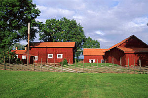 typical Swedish red colored buildings 