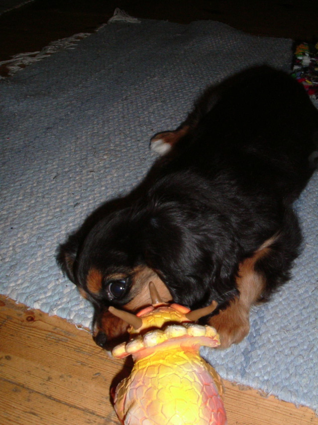 Liten Alvin