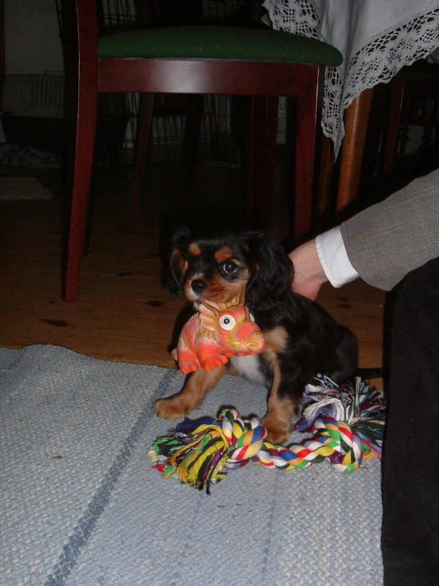 Alvin med dinosaurien
