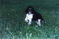 assar07