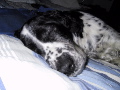 105-0600_IMG