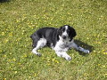 106-0654_IMG