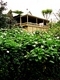 Tree House