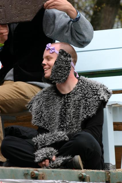 The image