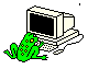 [Computer Frog]