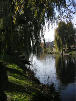 PICT0026