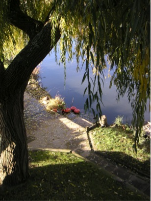 PICT0137