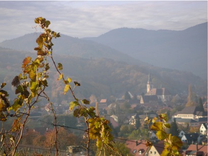 PICT0109_1