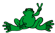 [Peace Frog]