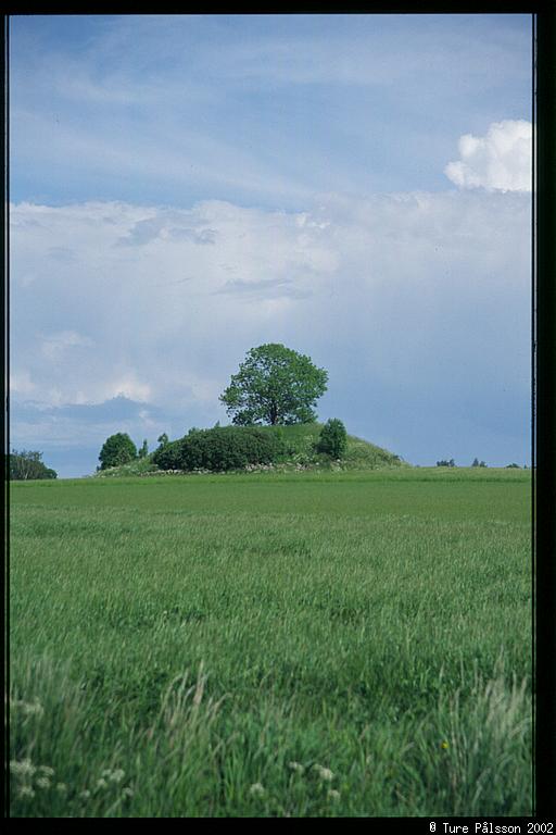 Sättuna