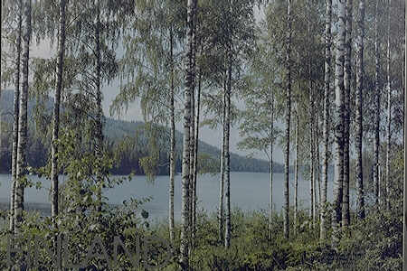 Finnish view