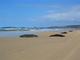 Rainbow Beach
